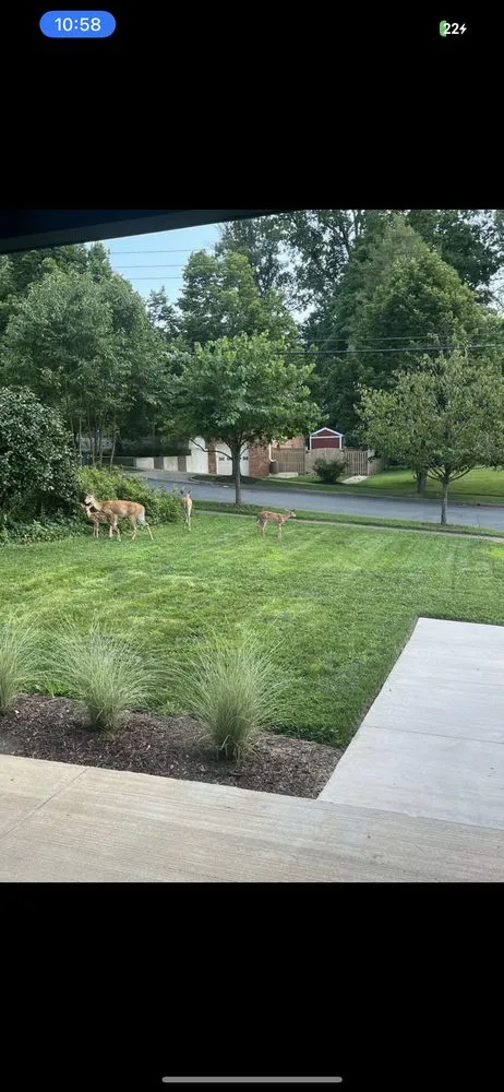 Expert landscape design near you in Arlington, VA by Longway Exterior