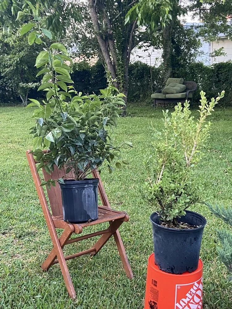 Local outdoor landscaping with custom design across Geneva, FL - Longwood Gardens Nursery And Landscaping