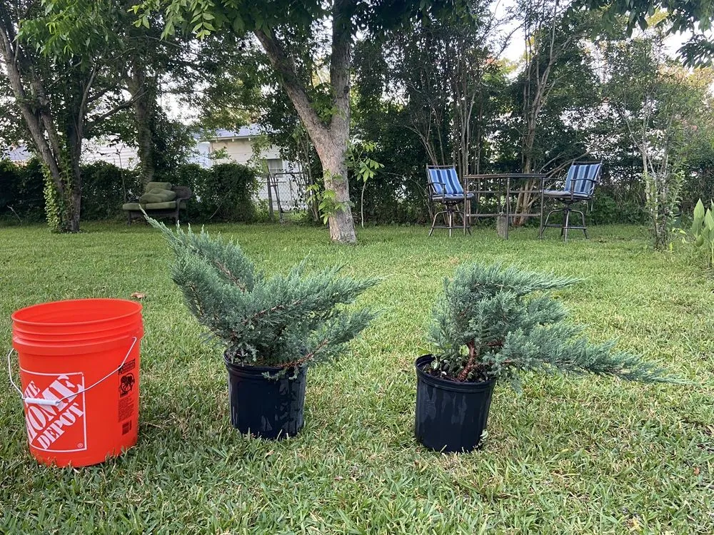 Expert landscaping services for beautiful yards across Geneva, FL - Longwood Gardens Nursery And Landscaping