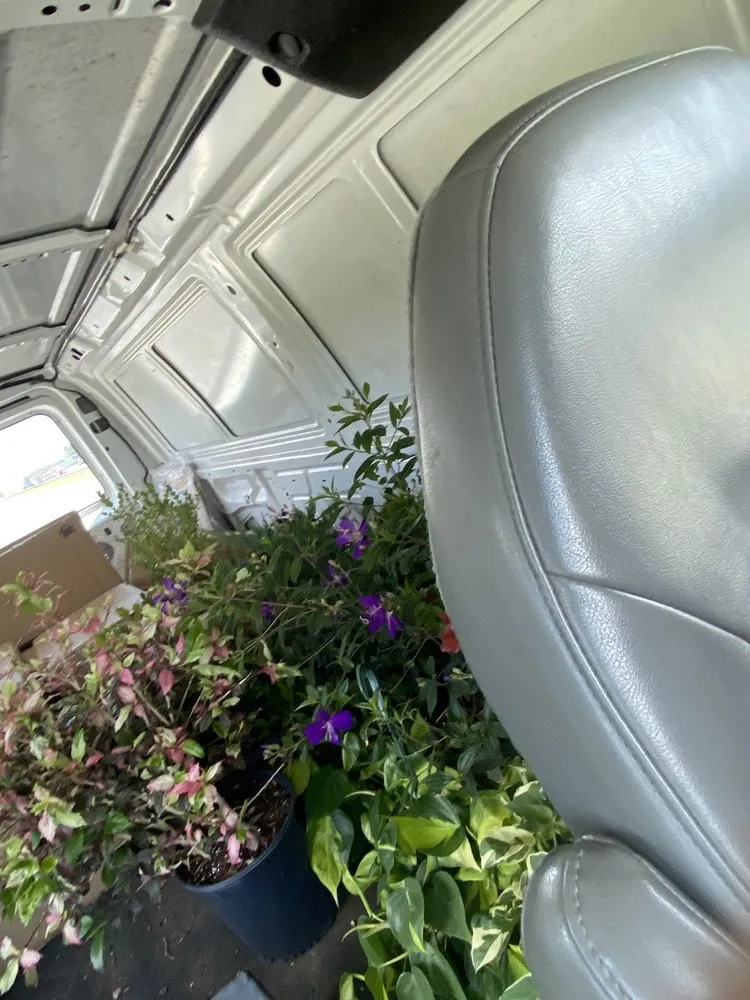 Top-rated yard cleanup service in Geneva, FL by Longwood Gardens Nursery And Landscaping