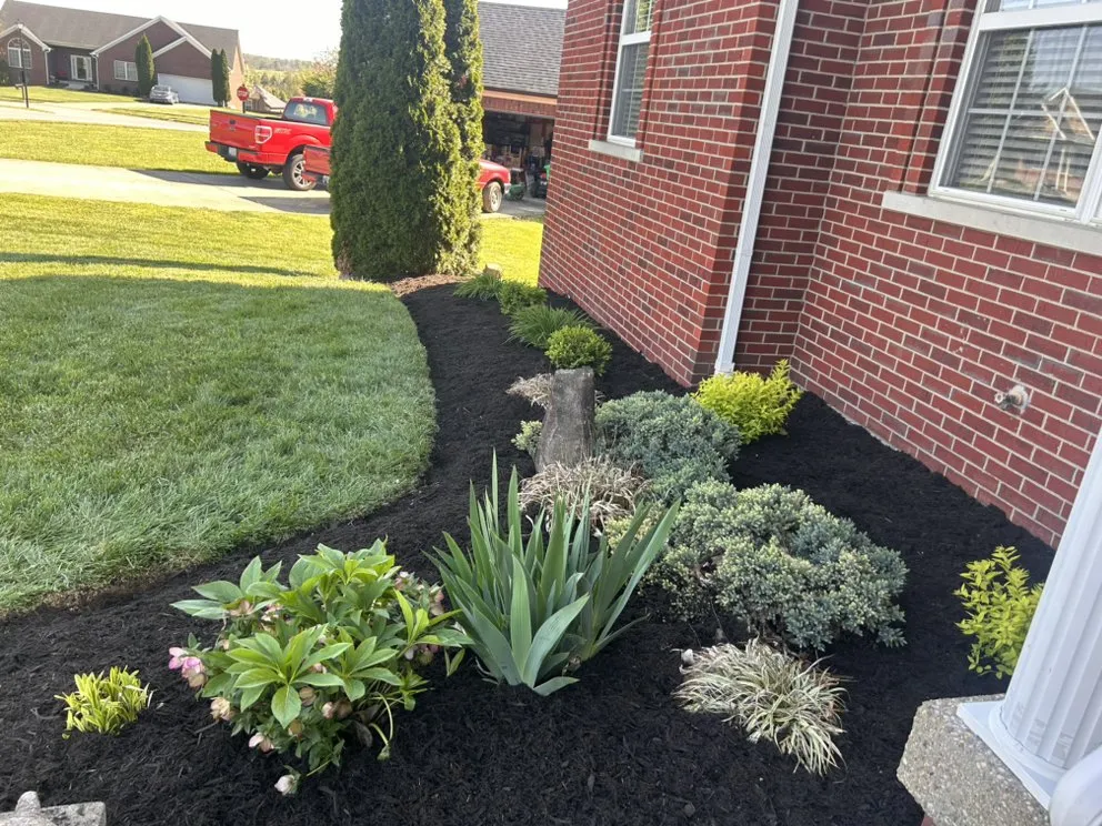 Affordable lawn mowing service in Floyds Knobs, IN by LonneCare