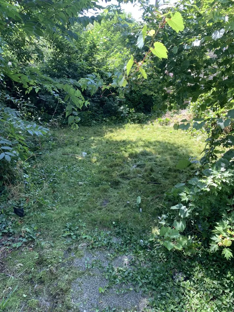 Trusted landscape installation in East Cleveland, OH by Lonnie Lawns