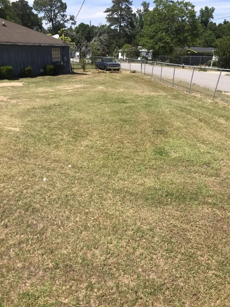 Professional landscaping services experts serving Macon, GA - Lonnie’s Lawn & Landscaping Services