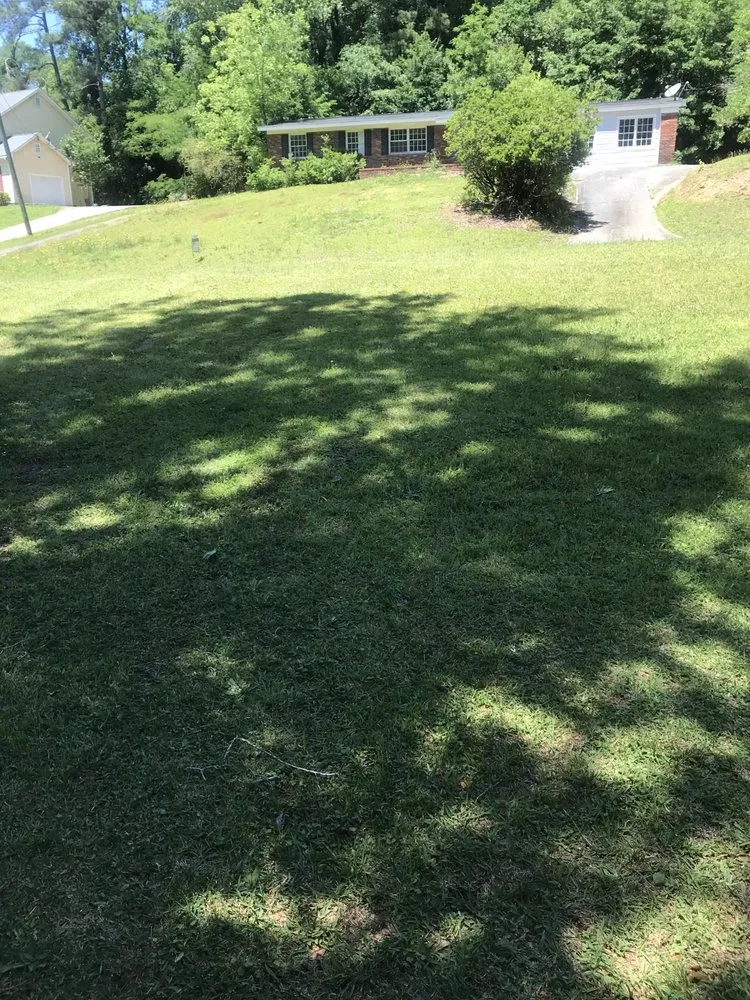 Expert residential landscaping experts serving Macon, GA - Lonnie’s Lawn & Landscaping Services