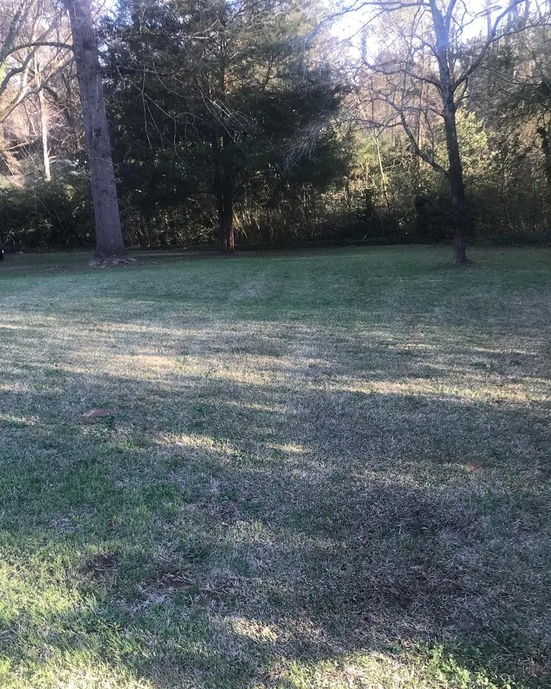 Expert lawn care service in Macon, GA - Lonnie’s Lawn & Landscaping Services