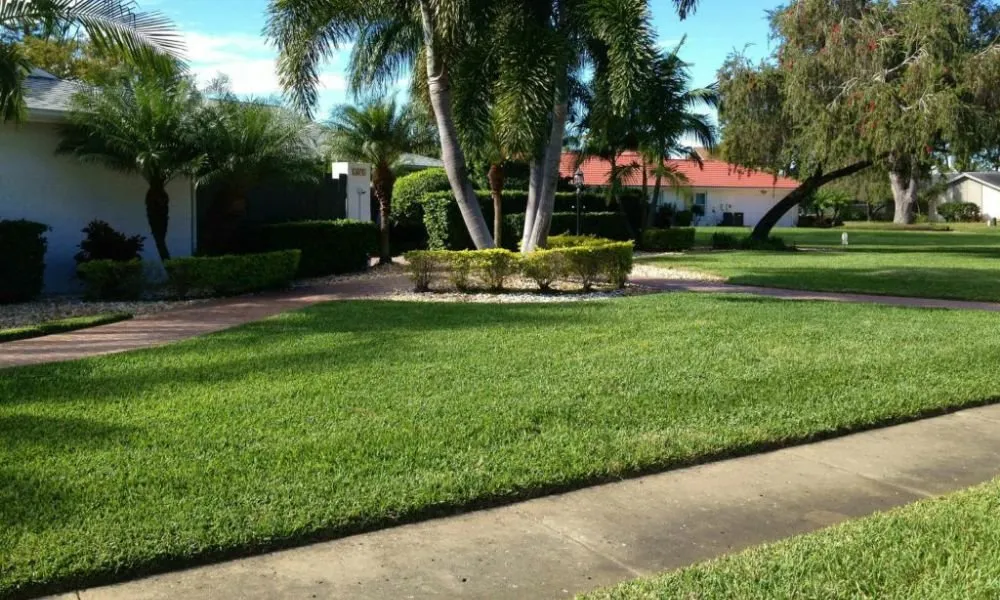 Custom landscaping services for residential properties across Sarasota, FL - Lon's Tree & Landscaping Services