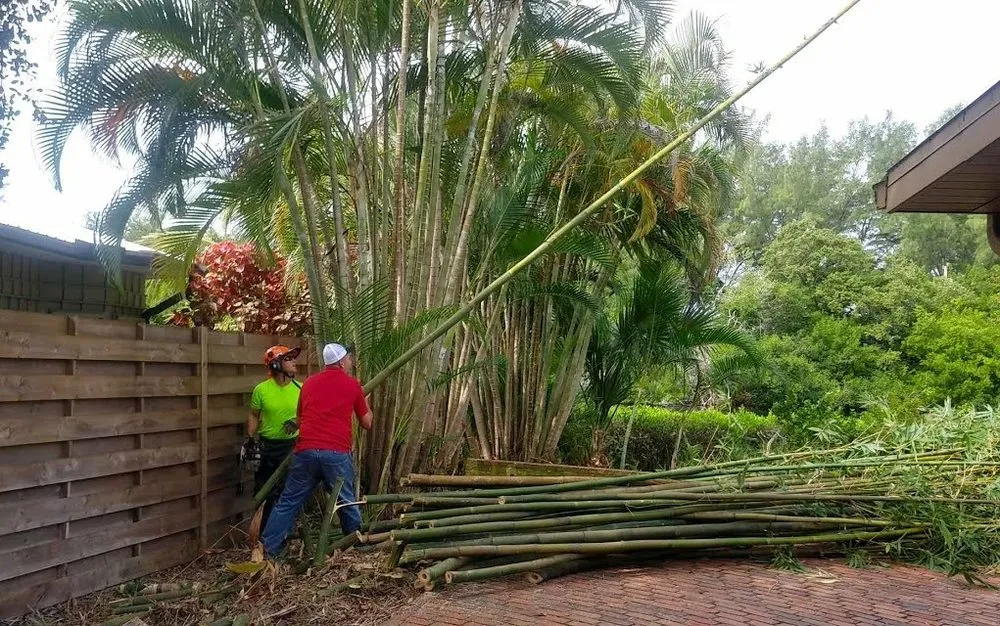Top-rated garden landscaping for year-round maintenance across Sarasota, FL - Lon's Tree & Landscaping Services