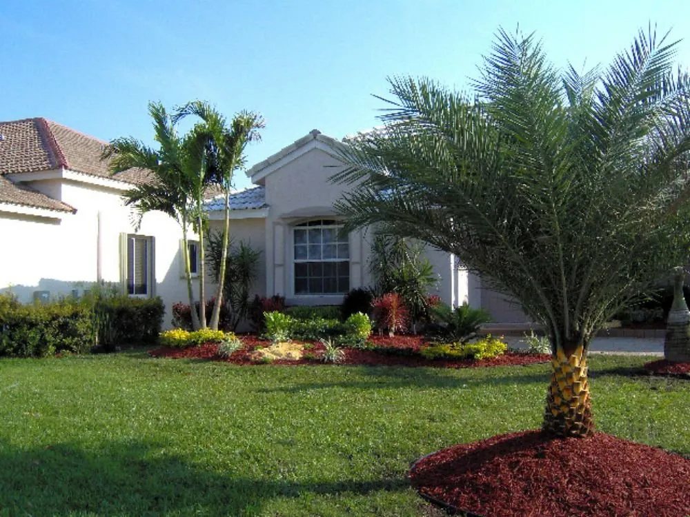 Trusted landscaping services near you across Sarasota, FL - Lon's Tree & Landscaping Services