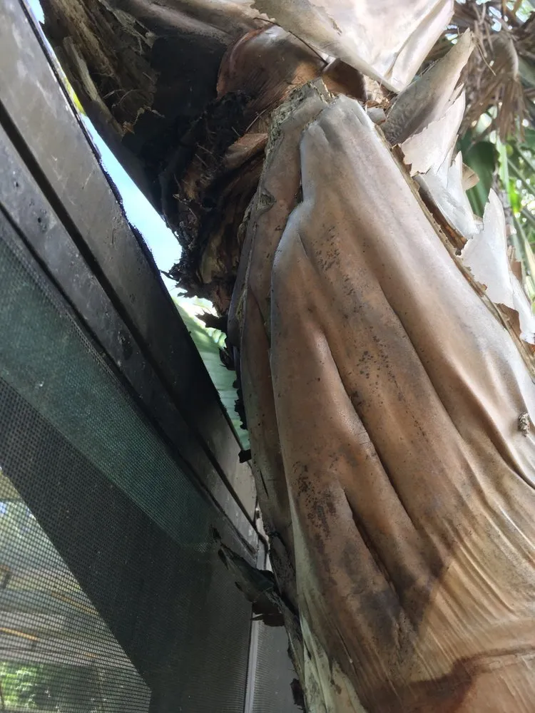 Custom yard maintenance for beautiful yards in Sarasota, FL by Lon's Tree & Landscaping Services