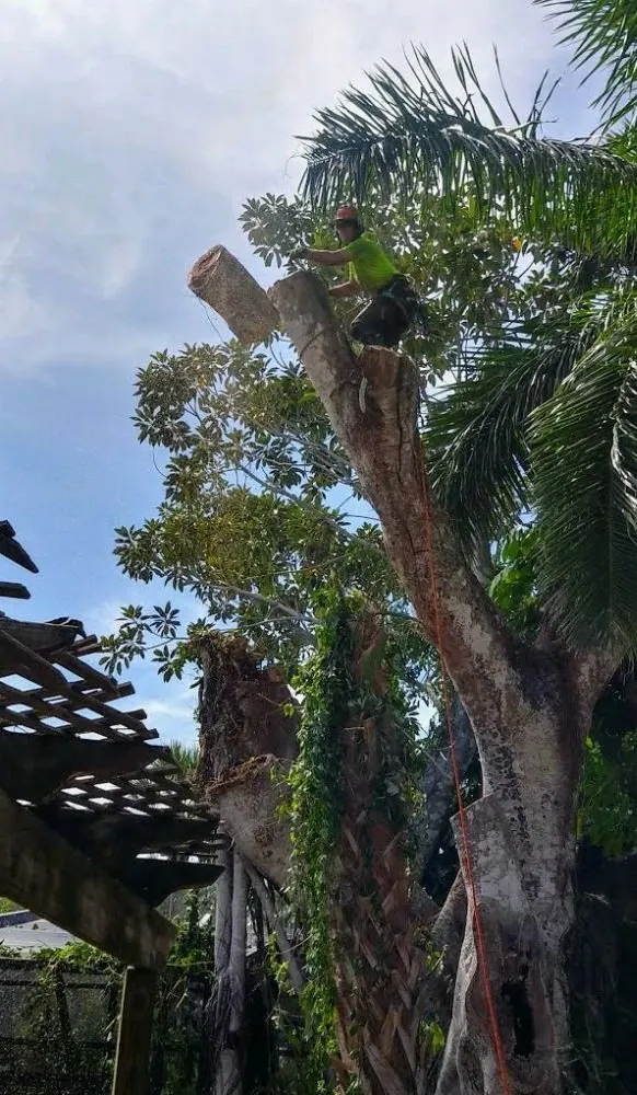 Trusted landscaping services for homes across Sarasota, FL - Lon's Tree & Landscaping Services