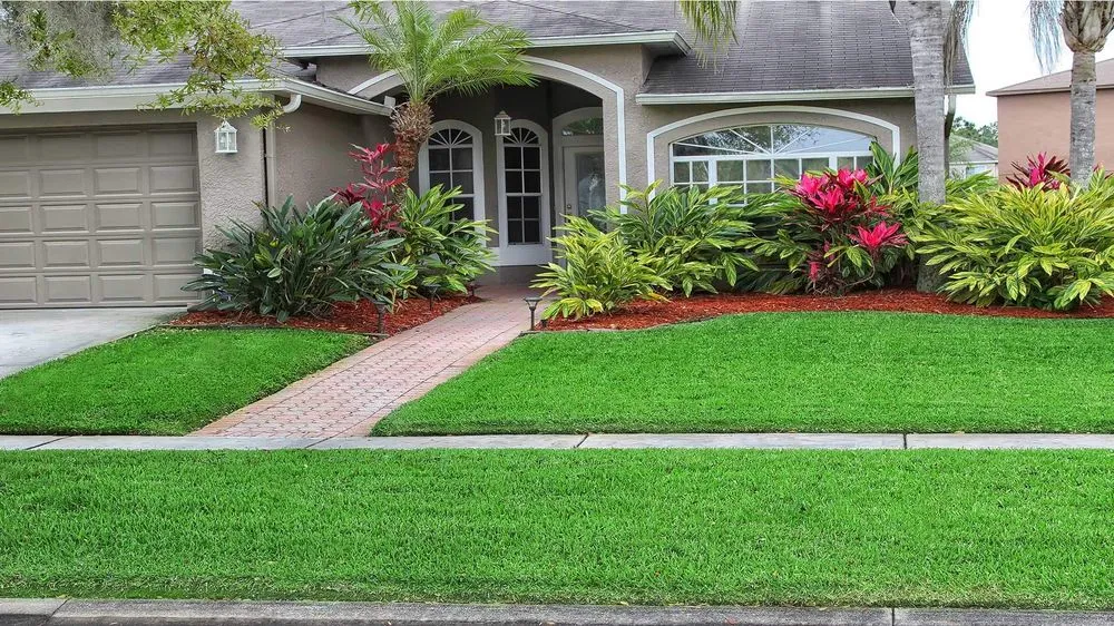 Reliable landscape installation for outdoor upgrades across Sarasota, FL - Lon's Tree & Landscaping Services