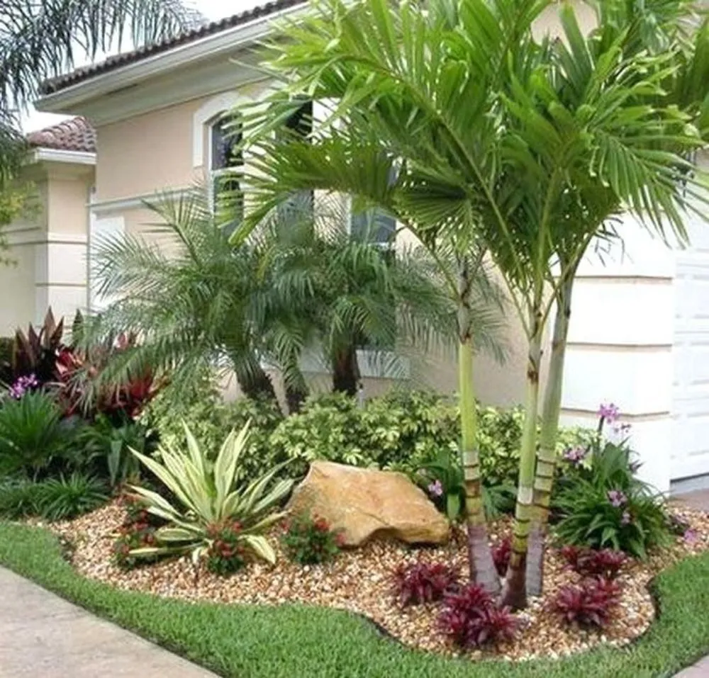 Professional lawn care service for homes in Sarasota, FL by Lon's Tree & Landscaping Services