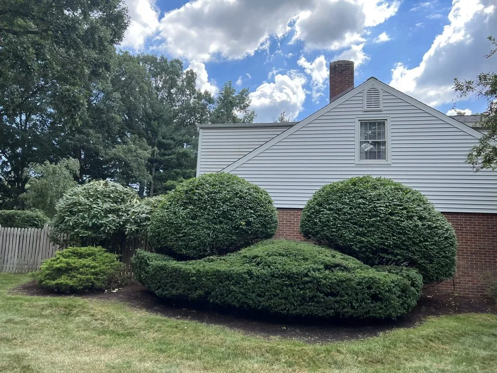 Reliable yard cleanup service in Toledo, OH - Lonsway’s Lawn Care