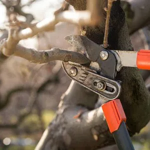 Reliable yard cleanup service experts serving Fond Du Lac, WI - Loof's Landscaping