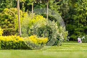 Custom yard maintenance for beautiful yards in Fond Du Lac, WI by Loof's Landscaping