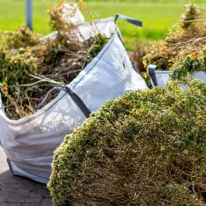Professional lawn care service experts serving Fond Du Lac, WI - Loof's Landscaping