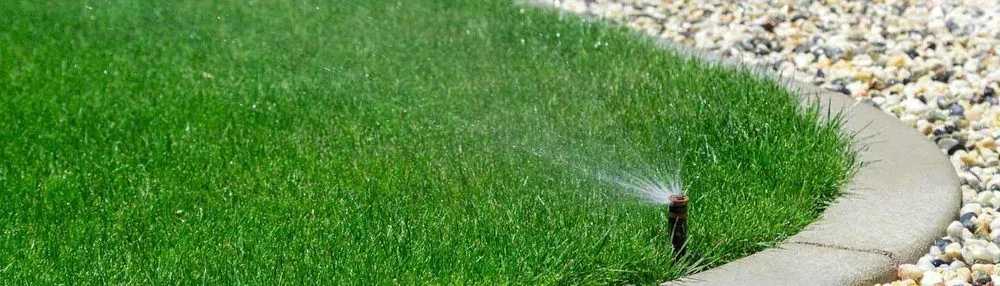 Trusted outdoor landscaping experts serving Adams Run, SC - Looking Glass Landscaping and Maintenance