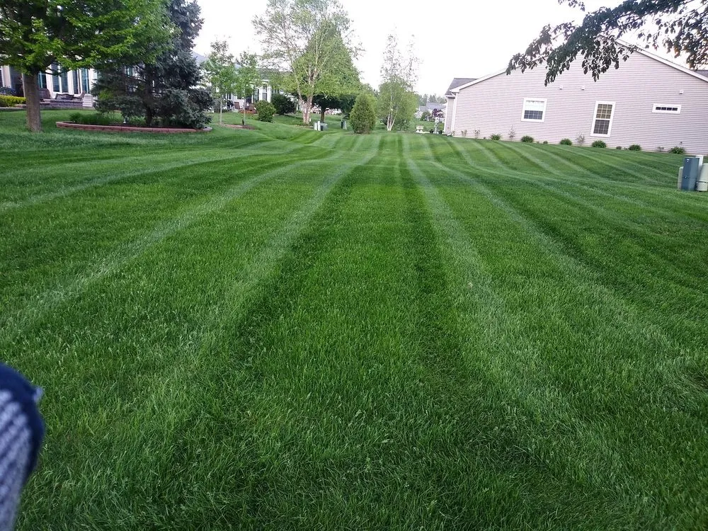 Reliable lawn mowing service for year-round maintenance across Aurora, IL - Looking Good Landscaping Inc