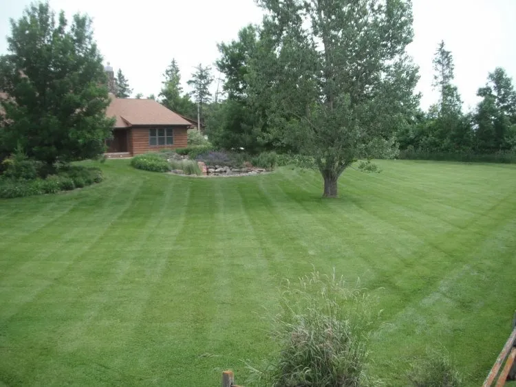 Expert yard cleanup service in Royalton, MN by Looking Good Lawn & Landscape Maintenance
