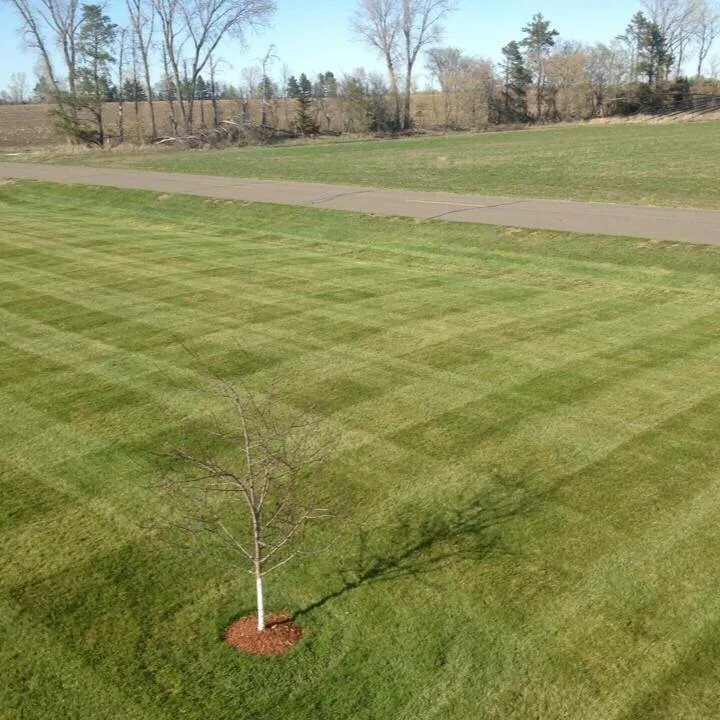 Affordable yard cleanup service in Royalton, MN - Looking Good Lawn & Landscape Maintenance