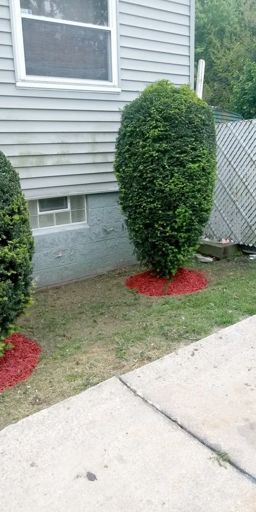 Trusted yard maintenance in Akron, OH - Looking good lawn care