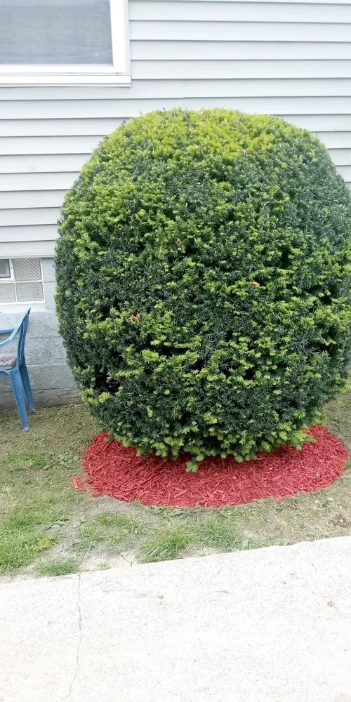 Expert landscape installation in Akron, OH - Looking good lawn care