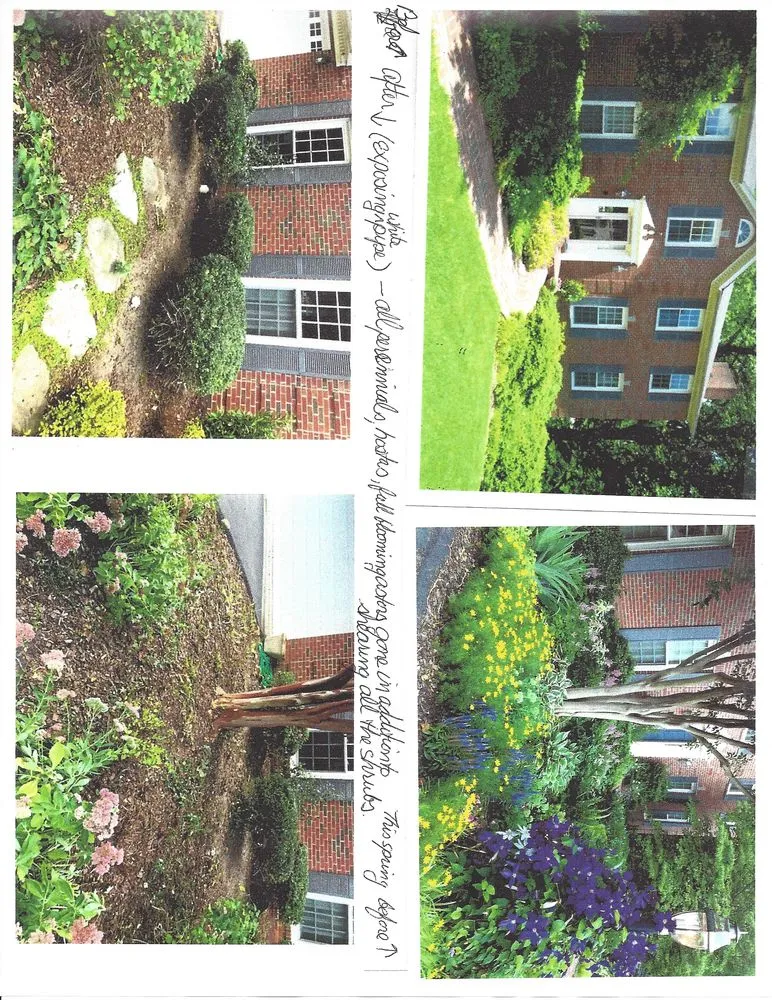 Top-rated residential landscaping in Oakton, VA by Looking Sharpe Landscapes