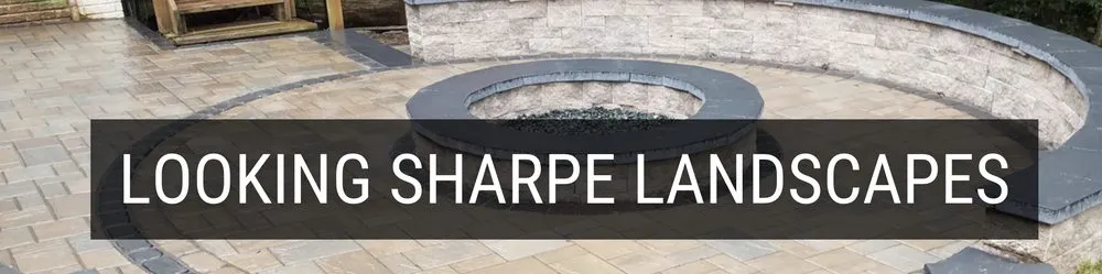 Affordable yard cleanup service in Oakton, VA by Looking Sharpe Landscapes