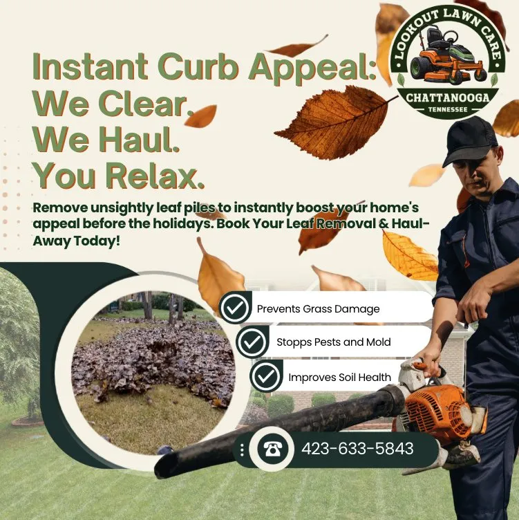 Reliable lawn care service with custom design in Chattanooga, TN by Lookout Lawn Care