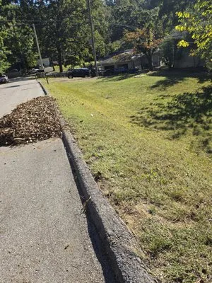 Lookout Lawn Care Logo