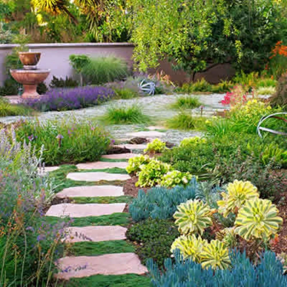 Custom landscaping services for residential properties in Tucson, AZ by Looks Good Landscaping & Environmental Designing