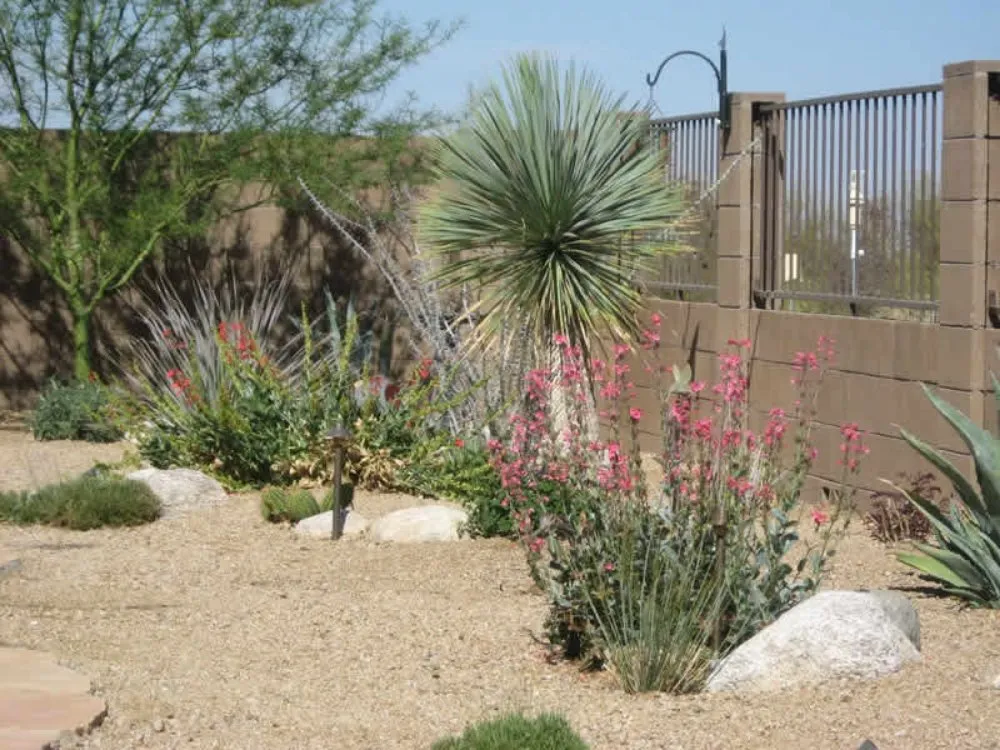 Trusted landscape installation for beautiful yards in Tucson, AZ by Looks Good Landscaping & Environmental Designing