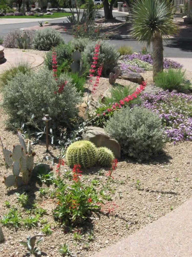 Local yard cleanup service near you across Tucson, AZ - Looks Good Landscaping & Environmental Designing
