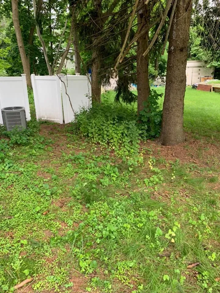 Custom landscape installation for outdoor upgrades across Haverhill, MA - Looks Good Landscaping