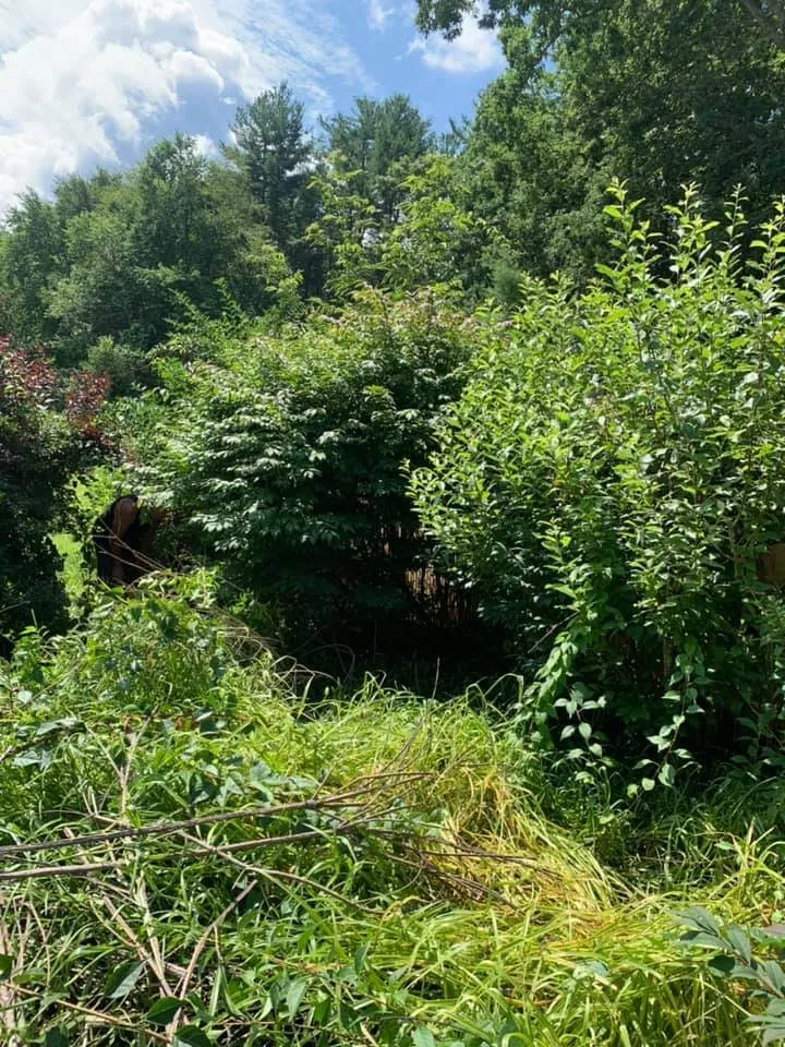 Local garden landscaping for homes in Haverhill, MA by Looks Good Landscaping