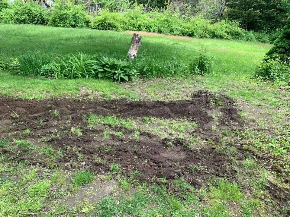 Reliable landscape design in Haverhill, MA - Looks Good Landscaping