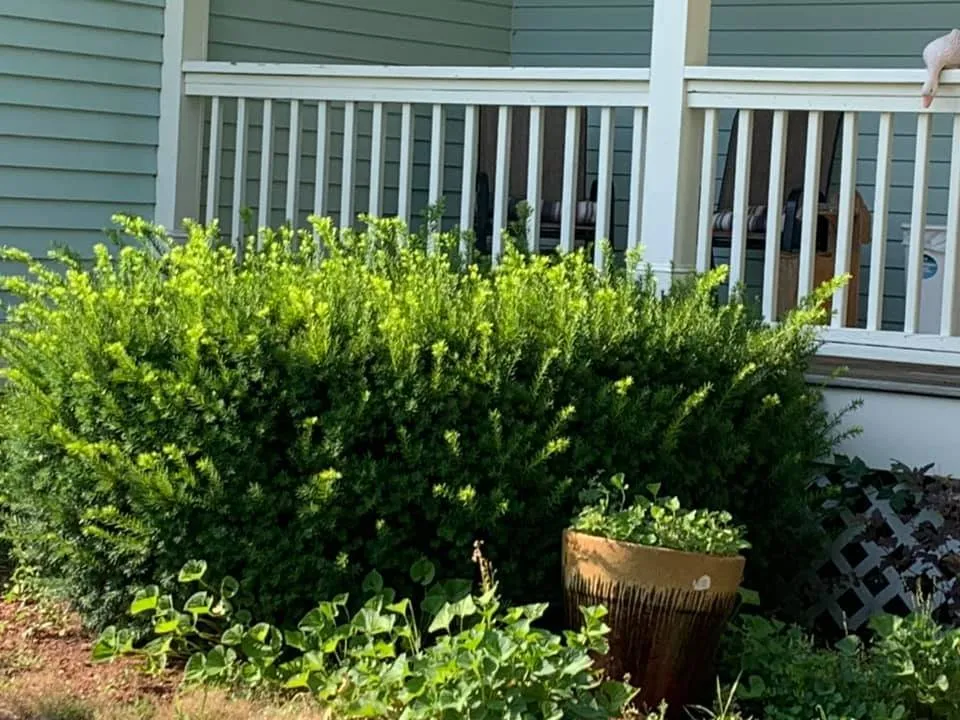 Reliable garden landscaping for beautiful yards across Haverhill, MA - Looks Good Landscaping