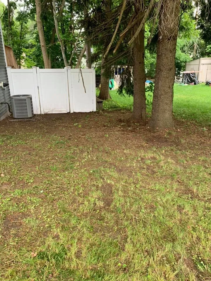 Local landscaping services in Haverhill, MA by Looks Good Landscaping