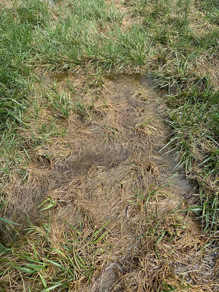 Top-rated landscape design in Huntsville, AL - Looks Matter Landscaping