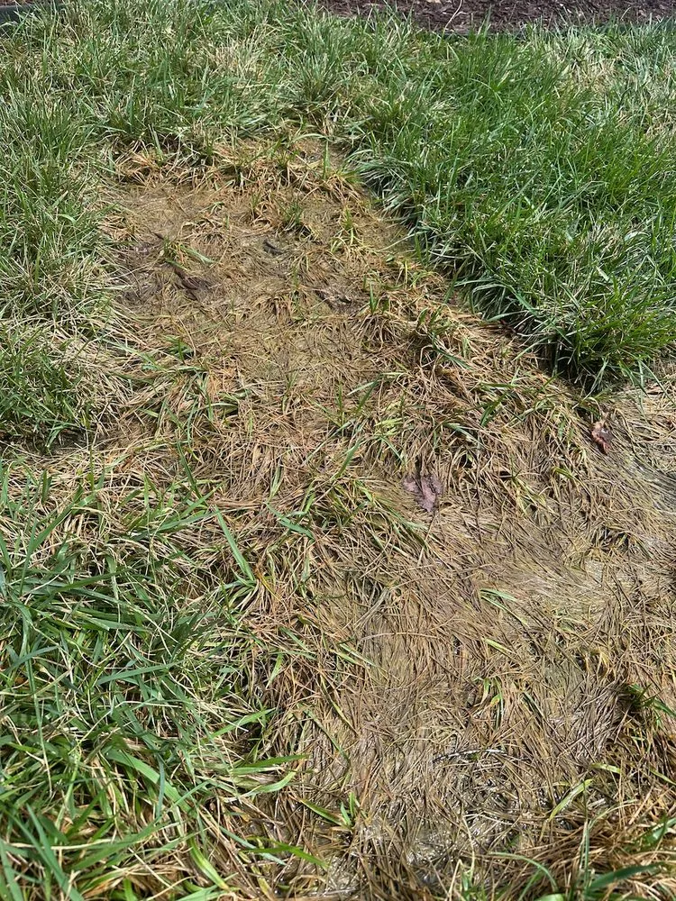 Expert landscaping services in Huntsville, AL - Looks Matter Landscaping