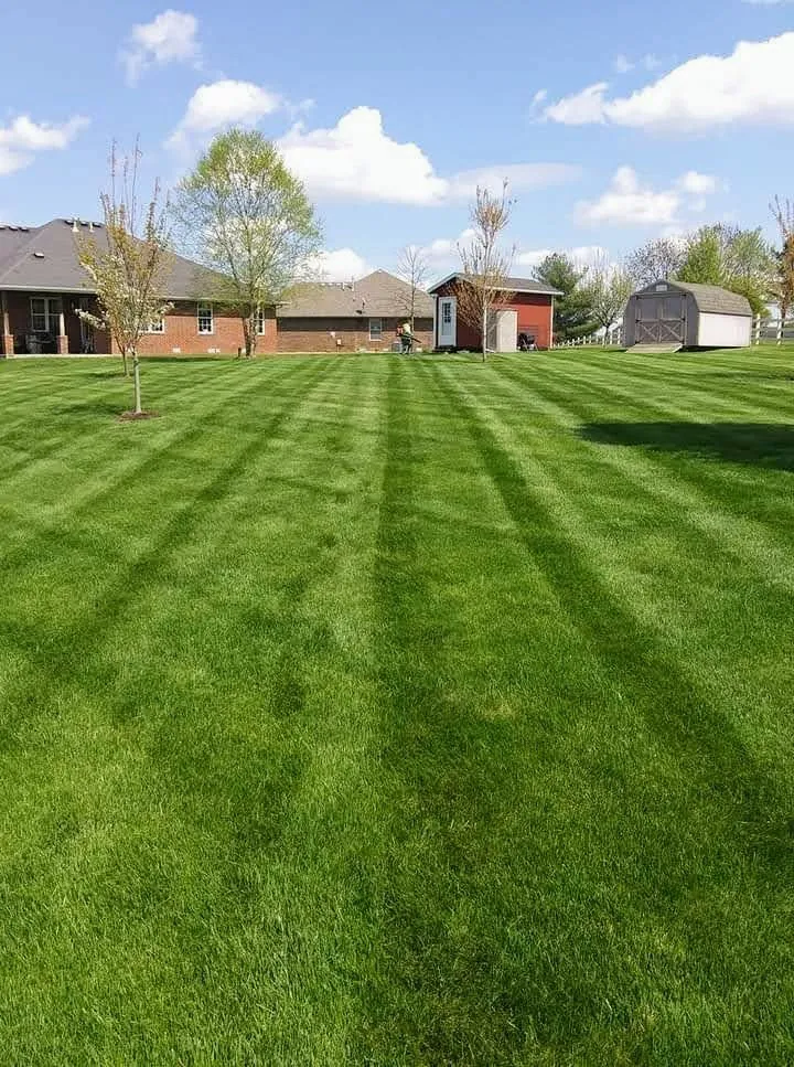 Expert landscape design in Cassville, MO - Looksgreat Lawns & Landscapes