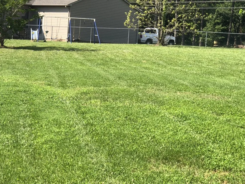 Local landscape installation in Grover, NC - Loomis Lawn Care & Maintenance