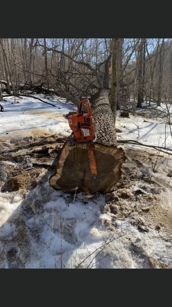 Reliable lawn mowing service for outdoor upgrades across Houston, MN - Loomis Logging Dozing and Landscaping