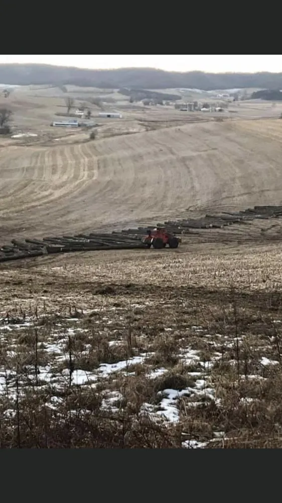 Affordable residential landscaping experts serving Houston, MN - Loomis Logging Dozing and Landscaping