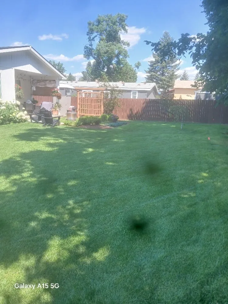Local outdoor landscaping in Loon Lake, WA - Loon Lake Lawn Care