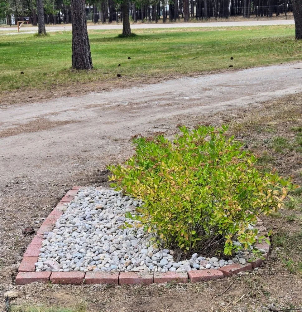 Trusted outdoor landscaping in Loon Lake, WA - Loon Lake Lawn Care