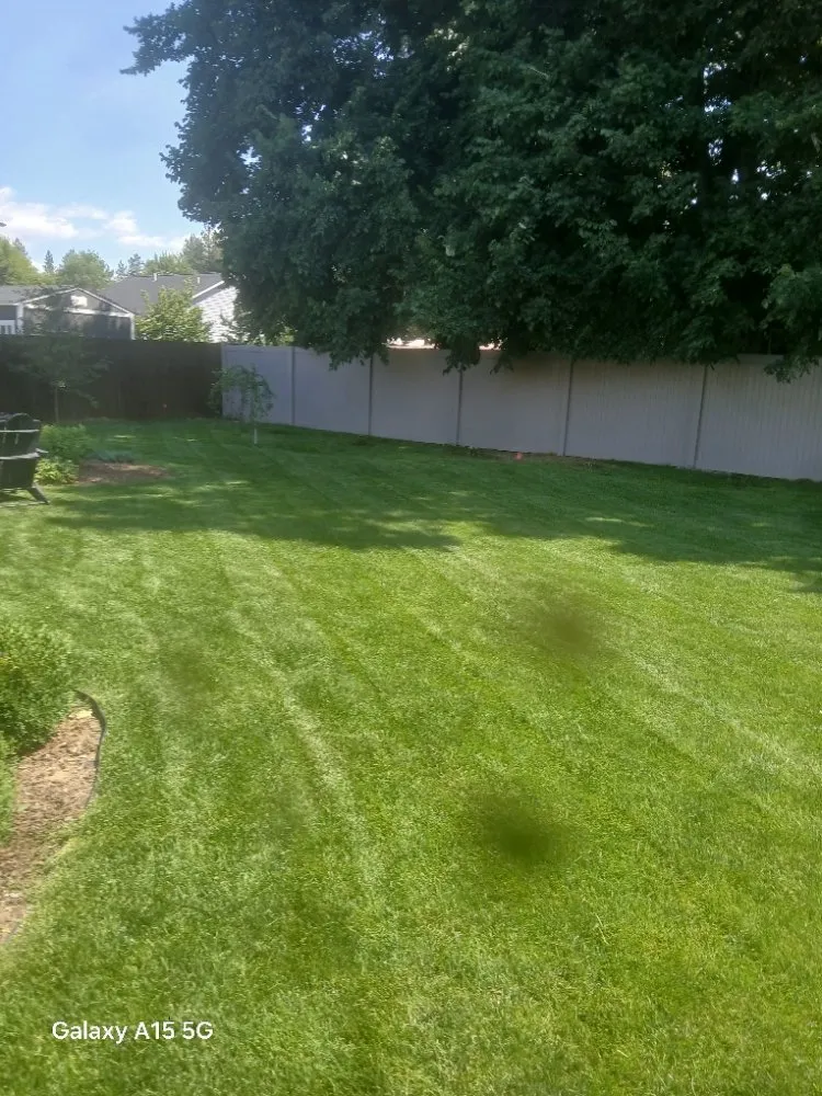 Top-rated outdoor landscaping in Loon Lake, WA by Loon Lake Lawn Care