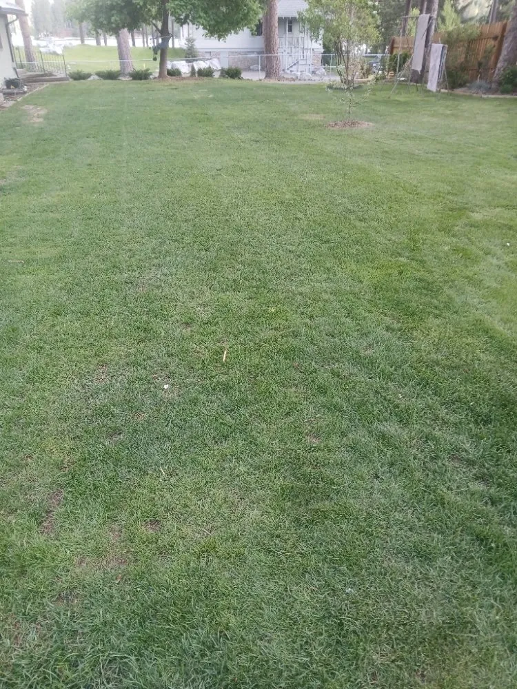 Expert landscaping services in Loon Lake, WA - Loon Lake Lawn Care