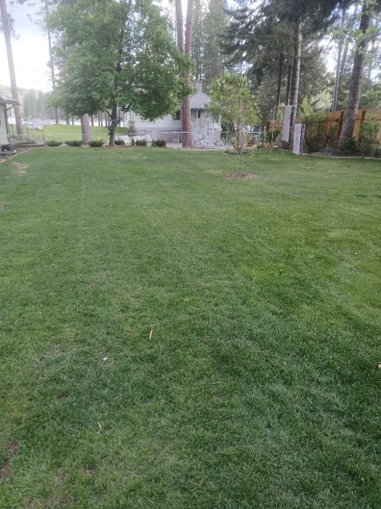 Custom yard cleanup service experts serving Loon Lake, WA - Loon Lake Lawn Care