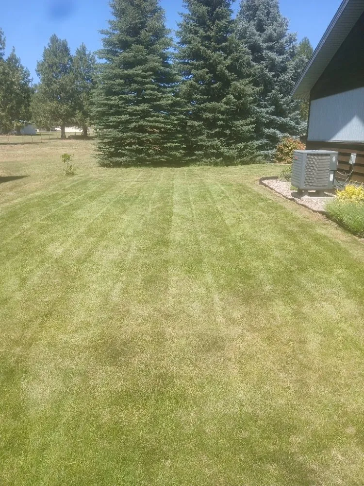 Affordable landscape installation in Loon Lake, WA by Loon Lake Lawn Care